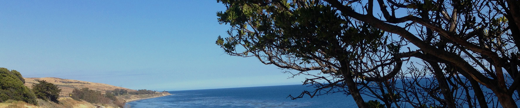 Contact Susan Young Banner